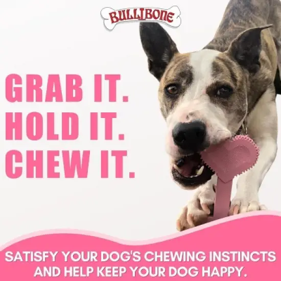 Bullibone Heartbone Chew Toy for Small Dogs image {5}