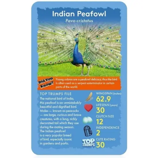 Top Trumps Birds Top Trumps Card Game image {3}