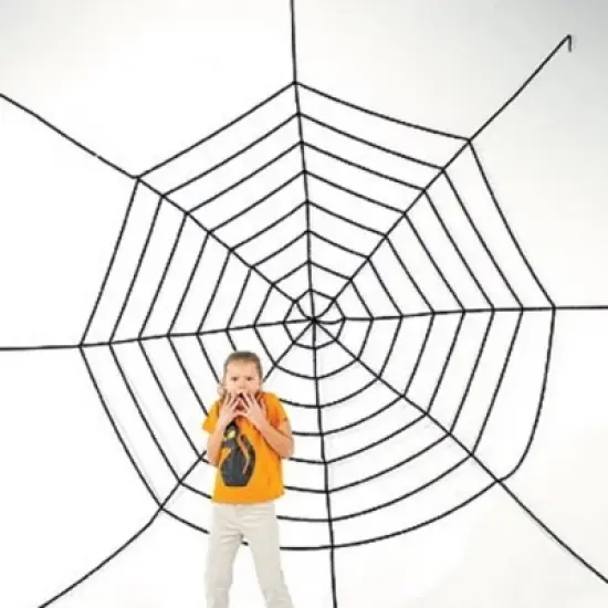 Fun Express Large Spider Web image {1}