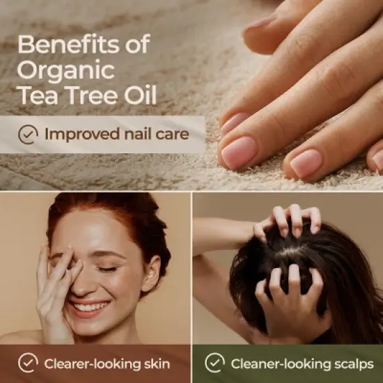 Gya Labs Organic Tea Tree Essential Oil, Organic Tea Tree Oil - Refreshing Aromatherapy, 0.34 Fl Oz image {5}