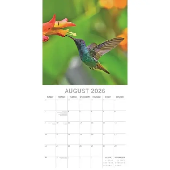 2026 Square Wall Calendar, Exotic Birds, 16-Month Animals Theme with 180 Reminder Stickers (12x12 In) image {2}