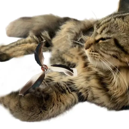 Unique Bargains Cat Feather Plaything Cat Wand Replacement Feathers White Brown 3 Pcs image {2}