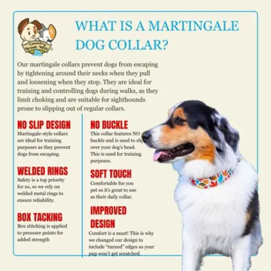 Country Brook Petz HossFit Jr Wide Martingale Dog Collar - Awesome Autumn Collection image {3}