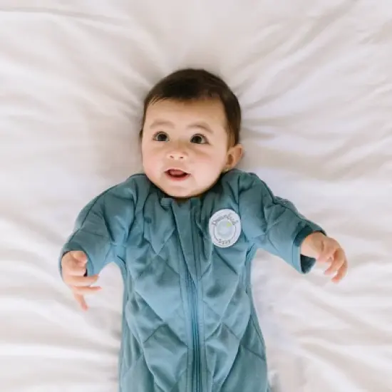 Dreamland Baby Dream Weighted Transition Swaddle image {2}