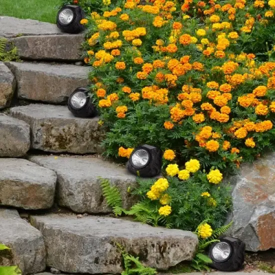 Nature Spring Solar-Powered LED Rock Lights &ndash; Black and Gray, 4-Pack image {3}