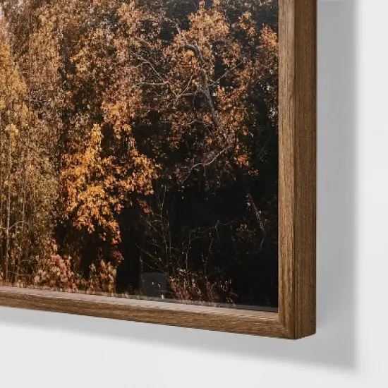 36" x 30" Golden Forest Framed Wall Art: Modern Decor, MDF & Glass - Threshold&trade; designed w/Studio McGee image {2}