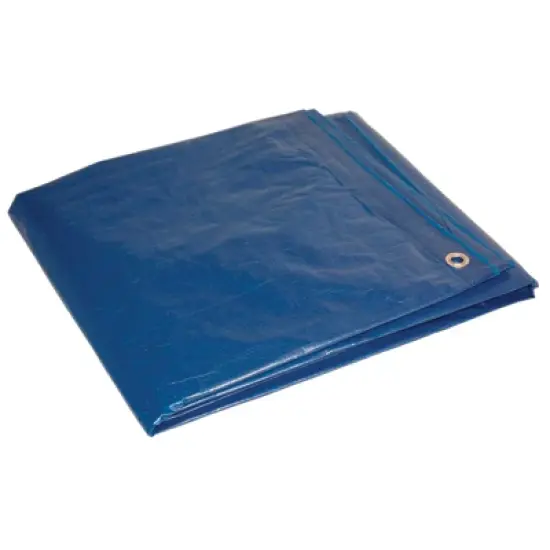Foremost Dry Top 12 ft. W X 24 ft. L Medium Duty Polyethylene Tarp Blue image {1}