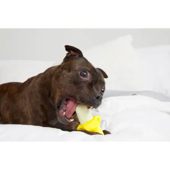 BARK Ba-gnaw-na Super Chewer Dog Food Shaped Toy image {2}