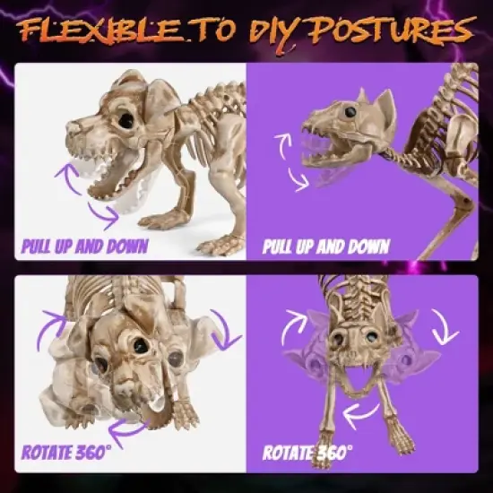 Yescom 2Pcs Poseable Dachshund Dog and 1 Pcs Cat Skeleton Life Size Pet Animal Halloween Yard Decor image {3}