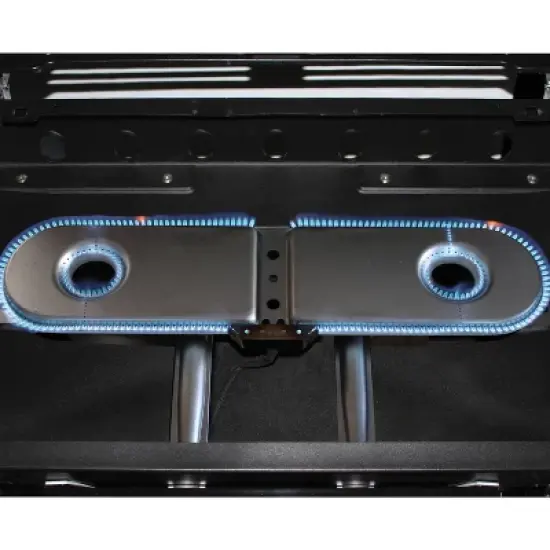 Coleman Roadtrip X-CURSION Grill image {3}