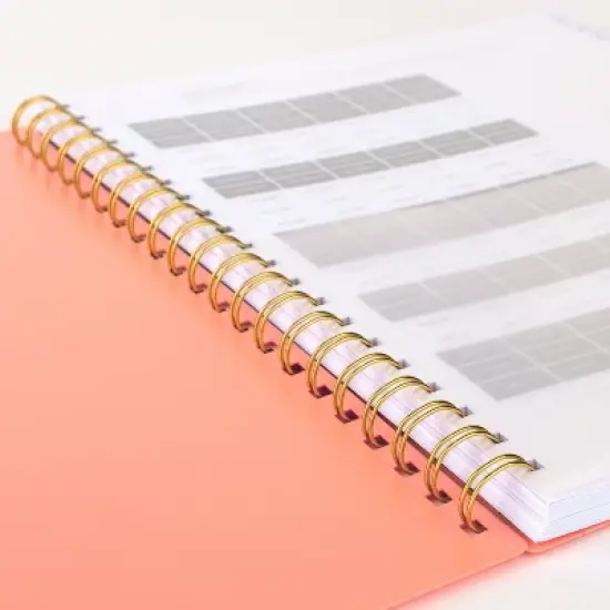 Cambridge 2024 Planner 11.125"x9.375" Weekly/Monthly Apricot Orange image {1}