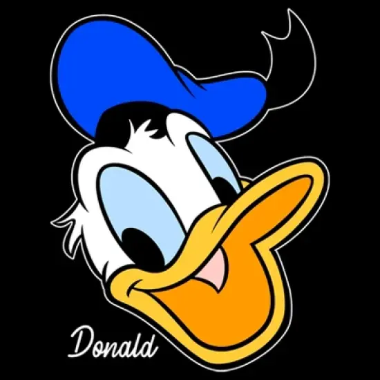 Boy's Disney Donald Duck T-Shirt image {1}
