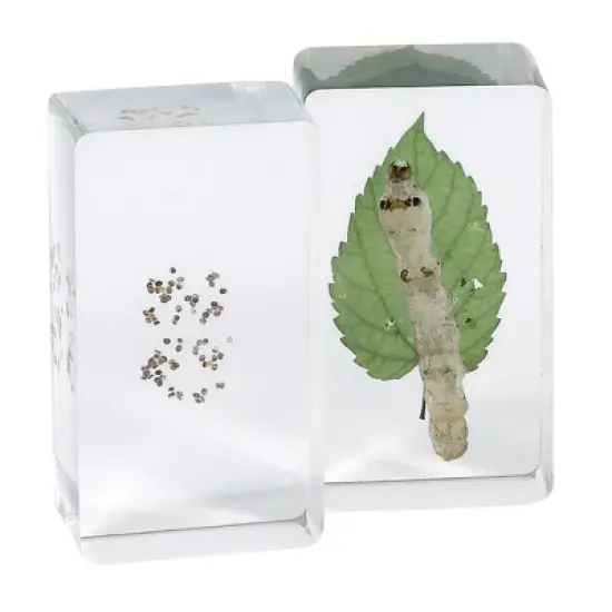 Kaplan Early Learning Animal & Plant Specimen Sets image {6}