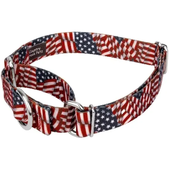 Country Brook Petz Patriotic Tribute Martingale Dog Collar image {4}