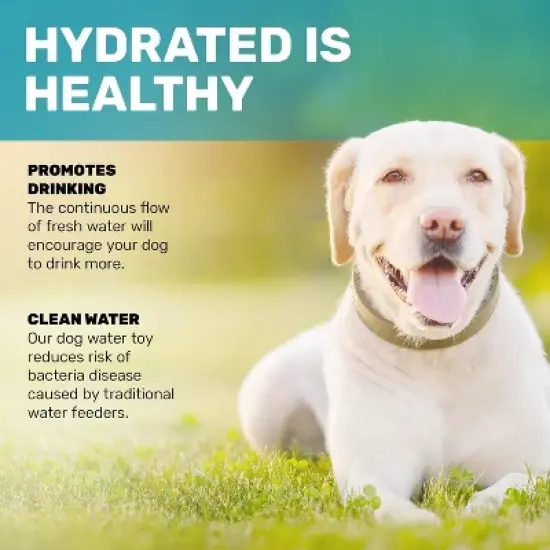 Outdoor Dog Sprinkler Water Fountain for Dogs with Interactive Play, Easy Setup, Fun Water Spray image {6}