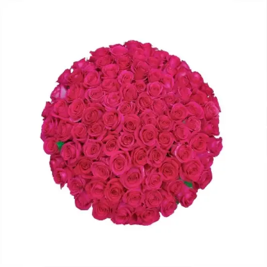 Fresh Cut Roses - 100 Stems image {9}