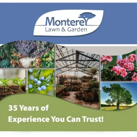 Monterey Disposable, Non-Toxic Yellowjacket & Wasp Traps, 2 Pack image {4}