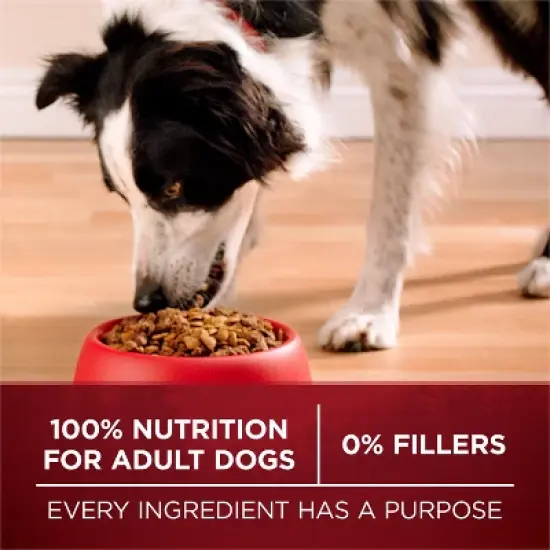 Purina ONE SmartBlend True Instinct Natural Real Turkey & Venison Flavor Dry Dog Food image {4}