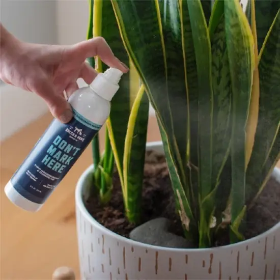 Rocco & Roxie Supply Co. Don't Mark Here Puppy Housebreaking Aid - 8oz image {4}