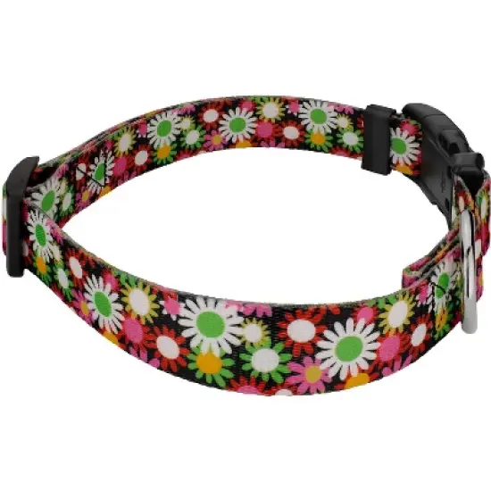Country Brook Petz Daisy Fields Deluxe Dog Collar and Leash image {2}