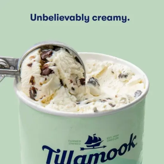 Tillamook Mint Chocolate Chip Ice Cream - 48 fl oz image {4}