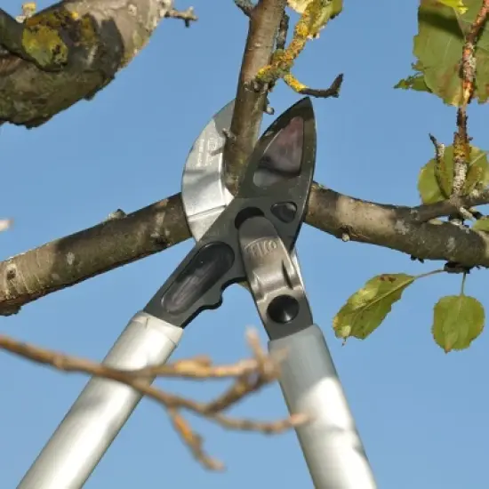 FELCO 231, 32in. Cam Assisted Curved Anvil Lopper for Cut Force Reduction, Light Weight image {1}