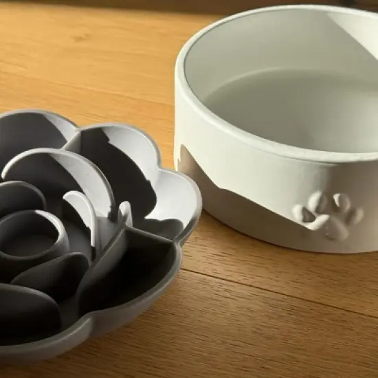 Dexypaws: Ceramic Dog Bowl: Sage Green, 26oz, Pet Feeding Dish image {6}