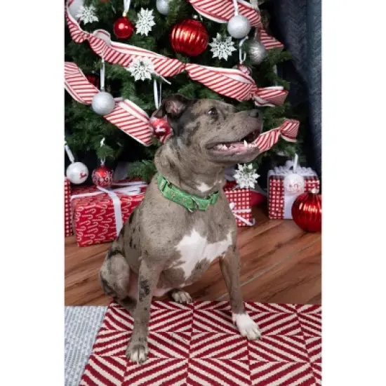Country Brook Petz Candy Cane Christmas Martingale Dog Collar image {1}
