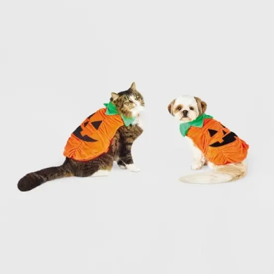 Halloween Plush Pumpkin Dog and Cat Costume - Hyde & EEK! Boutique&trade; image {5}