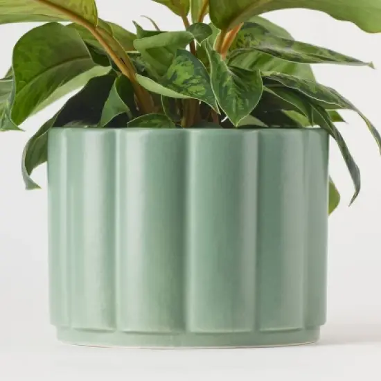 Greenwich Foliage - Good Little Garden&trade; image {9}