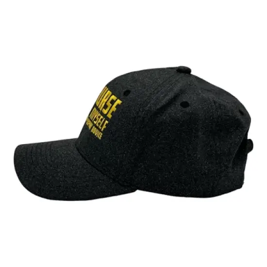 Of Course I Talk to Myself Sometimes I Need Expert Advice Hat Funny Novelty Baseball Cap - Crazy Dog Hat With Sarcastic Sayings Black Standard image {2}