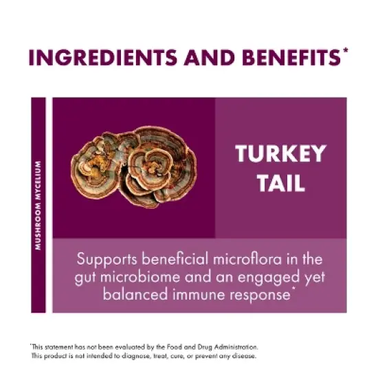 Host Defense Turkey Tail Mushroom Powder - Digestive Health & Immune Support - 3.5 oz (66 Servings)* image {3}