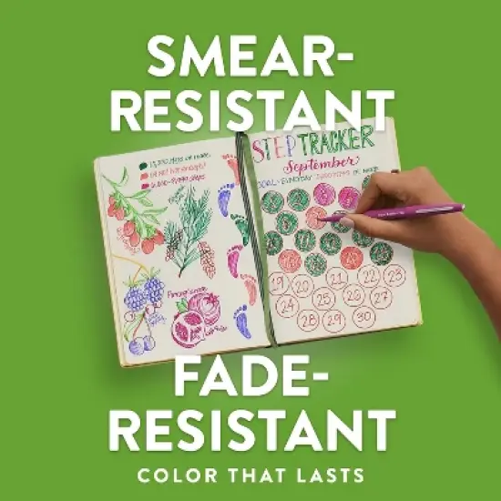 Sanford PaperMate Medium Felt Tip Pen (84244) image {3}