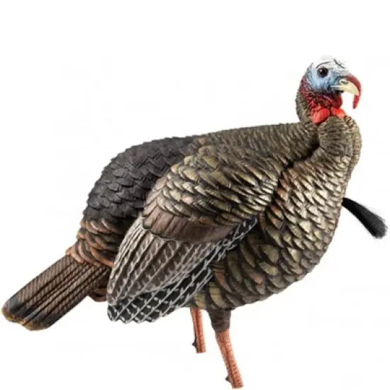 Avian X Heavy Duty Realism Jake Decoy image {2}