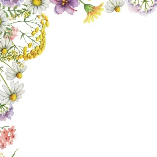 80ct Flower Meadows Letterhead White: Stationery Paper, Uncoated, 8.5 x 11 Inches, 80 Sheets, Love & Romance Theme image {1}