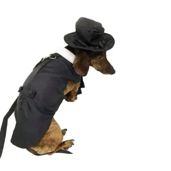Midlee Dog Tuxedo Wedding Suit- Black Top Hat & Leash image {1}