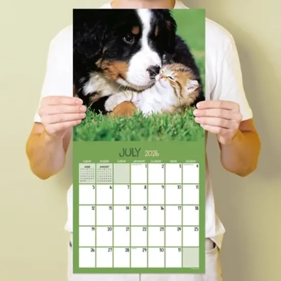 TF Publishing 13.5"x14.5" 2026 Furry Friends Wall Calendar image {3}