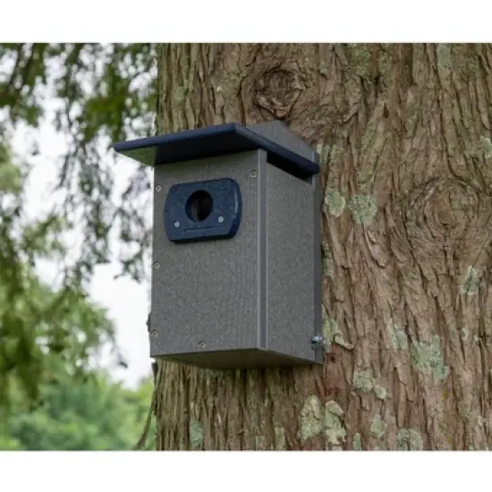 JCS Wildlife Recycled Poly Lumber Standard Bluebird House image {7}