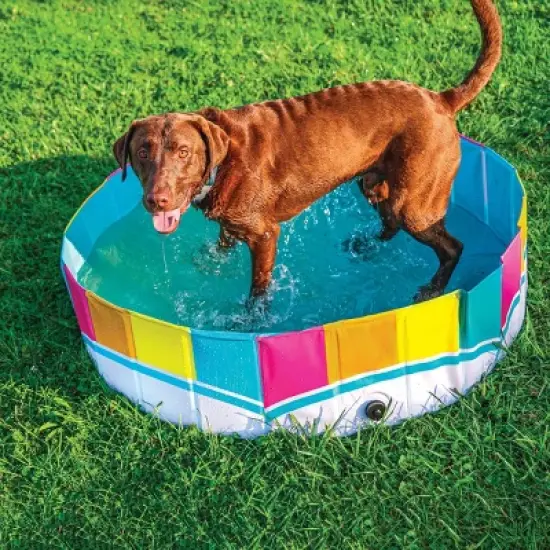 BigMouth Inc. Rainbow Foldable Hard Side Dog Pool image {9}