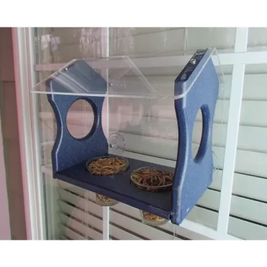 JCs Wildlife Window Mount Bluebird Mealworm Feeder image {5}