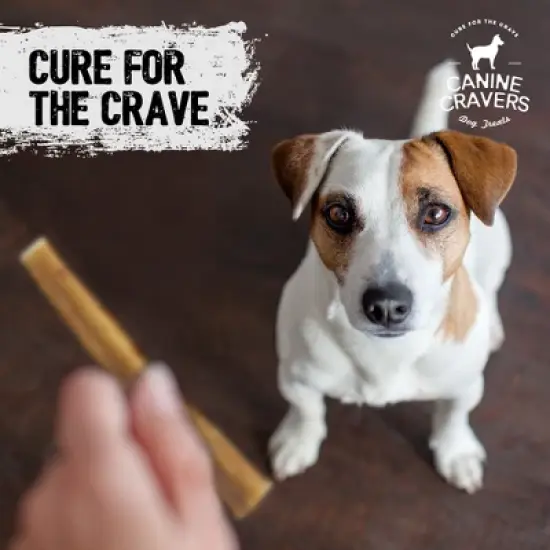 Canine Cravers Maplewood Smoked Bully Sticks 6&rdquo; Inch Pack of 10 - 100% Natural Free Range Grass Fed Beef - Made in Canada Dog Chews High Protein image {6}