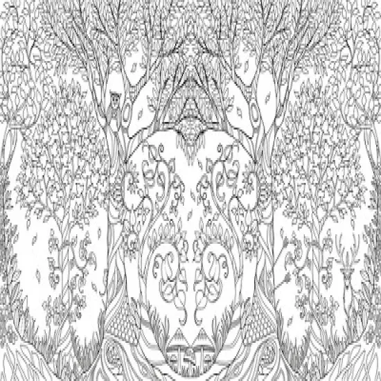 Enchanted Forest: An Inky Quest And Coloring Book - By Johanna Basford ( Paperback ) image {1}