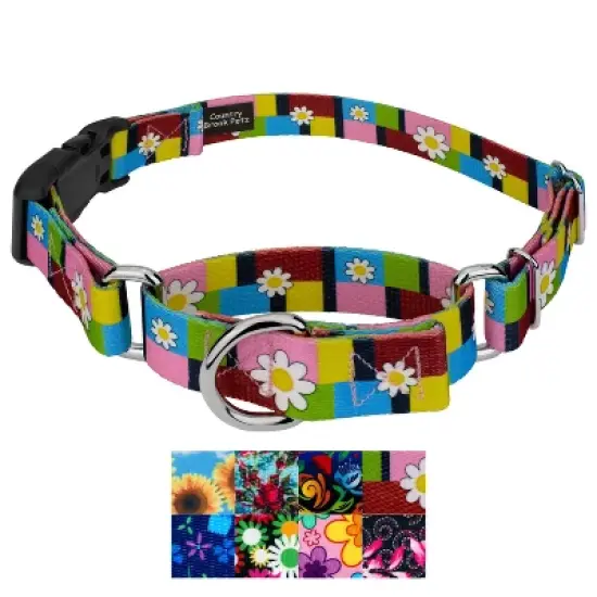 Country Brook Petz Martingale Dog Collar with Deluxe Buckle - Floral Collection image {1}