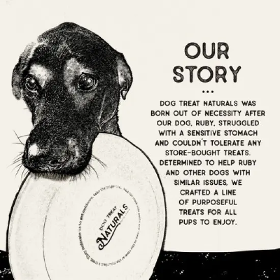 Dog Treat Naturals Dental Sticks - Chickpea & Mint 10oz (20ct), Freshens Breath image {8}