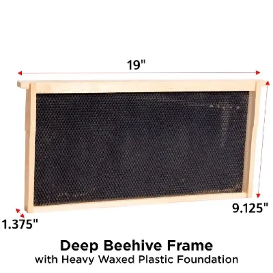 Lehman's Beekeeping Beehive Frame, Waxed Plastic Foundation, Deep Assembled, Honey Bee Hive, Amish Made image {1}
