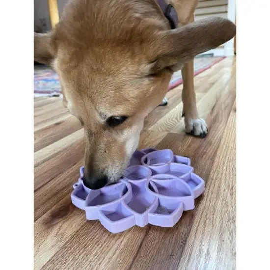 Mandala Softie eTray Enrichment Shallow Slow Feeder Dog Bowl with Suction Cups image {5}