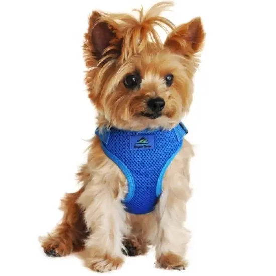 Doggie Design Wrap and Snap Choke Free Dog Harness - Cobalt Blue image {7}