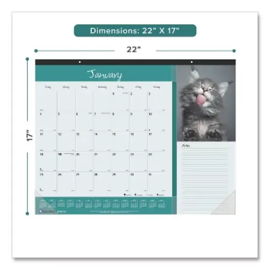 Pets Collection Monthly Desk Pad, Furry Kittens Photography, 22 x 17, White Sheets, Black Binding, 12-Month (Jan-Dec): 2026 image {1}