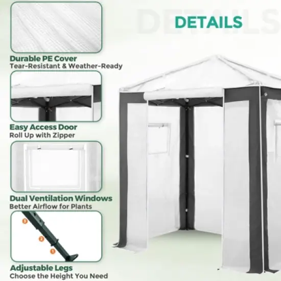 EAGLE PEAK 8x8 Portable Walk in Greenhouse , Heavy Duty Pop Up Green House, Front Roll Up Zipper Entry Door and Mesh Windows image {5}