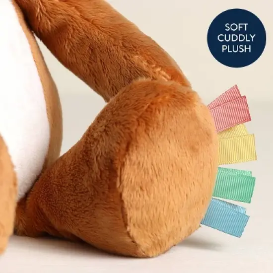 Itzy Ritzy Sweetie Snuggles Plush Stuffed Animal - Fox image {4}